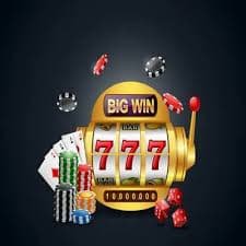 7766 bet