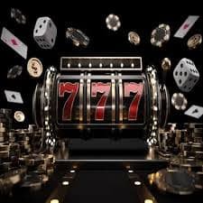 7766 bet